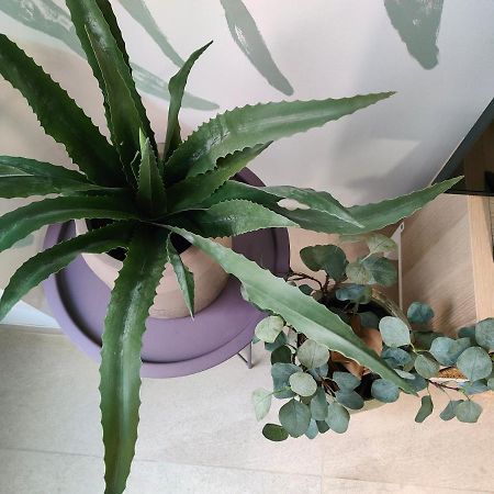 Hola Apartament אליקאנטה מראה חיצוני תמונה